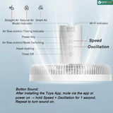 Yarratwo Smart Pedestal Fan – Super Quiet with App & Voice Control(Grey)